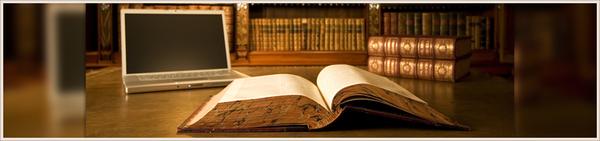 Law Offices Of Dinara Maylov & Associates