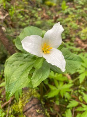 Powell Butte Nature Park