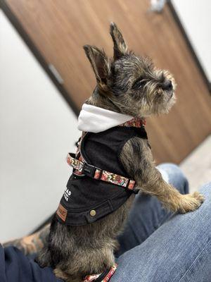 Ontario Veterinary Hospital