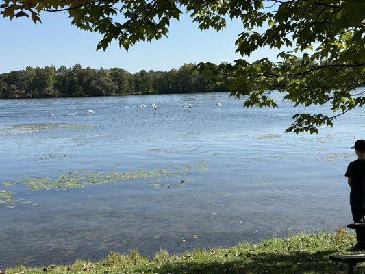 Kensington Trail Rides