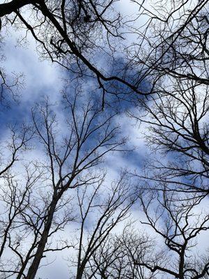 Furstenberg Nature Area