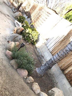 Sanchez & Bearden Gardening Service