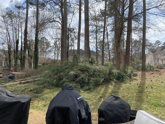 Chip & Saw Land Management