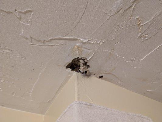 hole in my ceiling