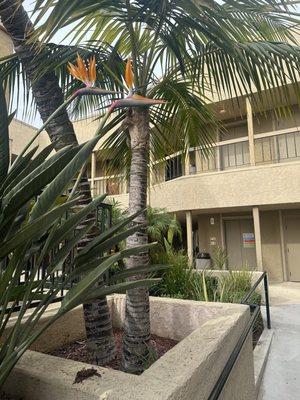 Vitality Acupuncture