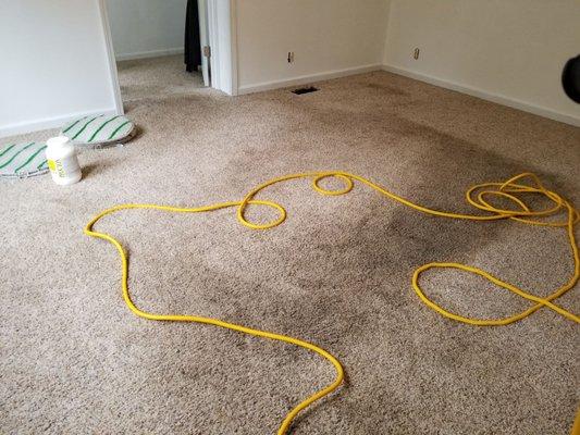 Dry Pro Carpet Dry Cleaning