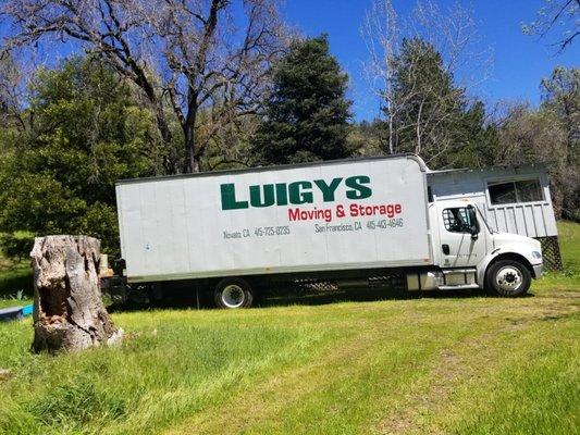 Luigys Moving