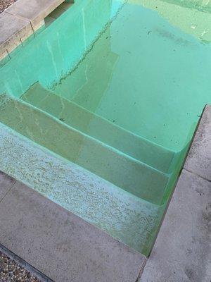 Pool that has been getting serviced