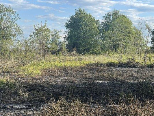 Laurel Hill Central Green