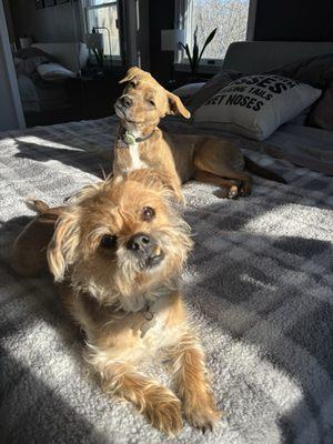 Toby and Kali