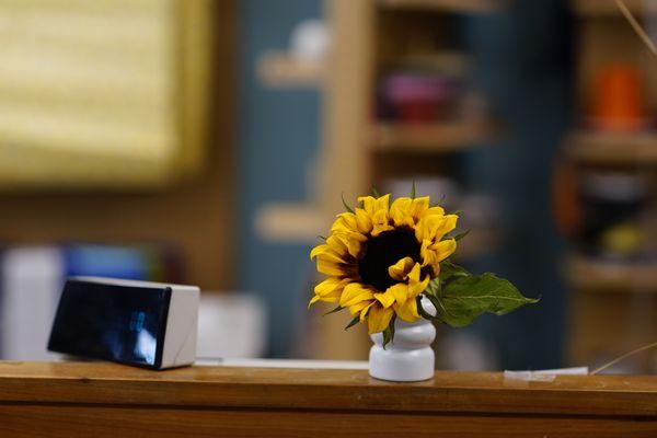 Your Enchanted Florist