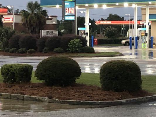 Southeast Lawn & Tree Service