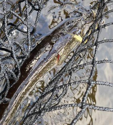 Headwaters Fly Fishing