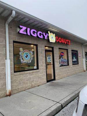 Ziggy Donutz