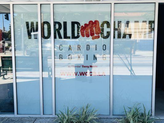 World Champion Cardio Boxing