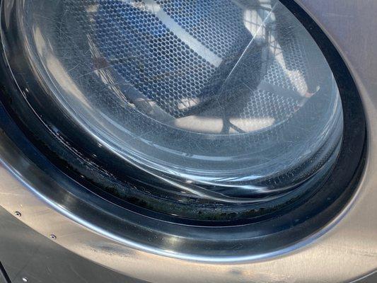 Molds building up, this was easy to clean but the attendant is too busy with their phone.