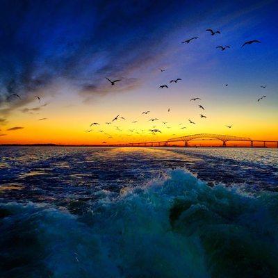 Captain Cook Charters