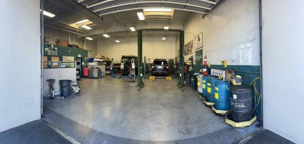 The Rover Doctor Plus