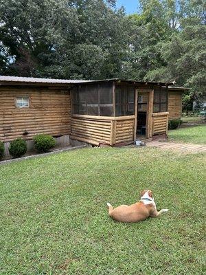 Southern Perfection Landscaping