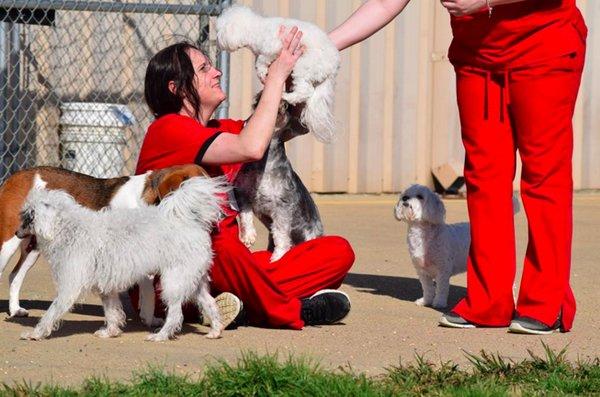 Happy Tails West