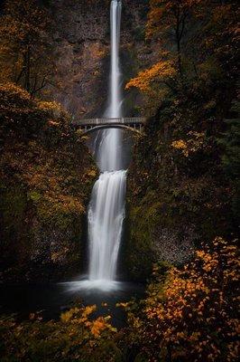 Rebecca’s Mobile Notary