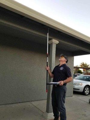 Western Way Termite & Pest Services