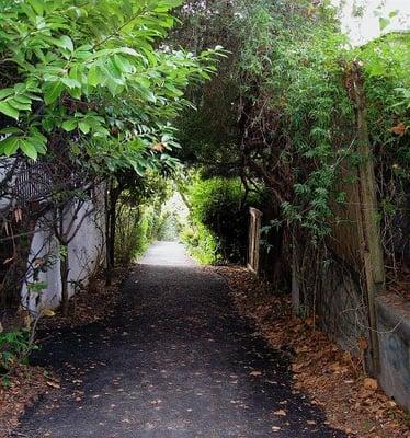 Vine Lane