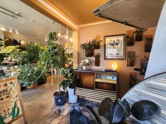 Sierra Water Plant Shop