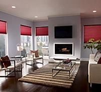 Lutron Battery Operated Window Shades!