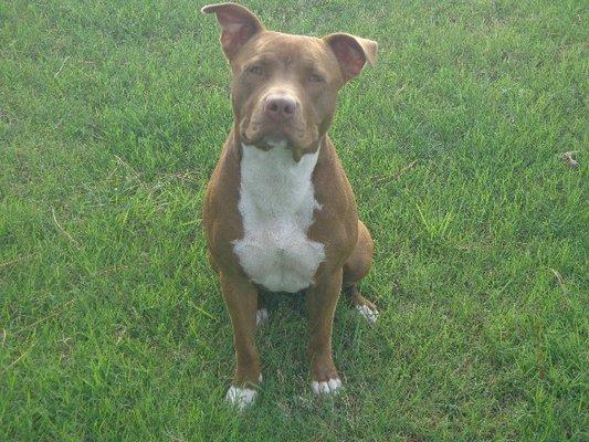 Fayette County Veterinary Clinic