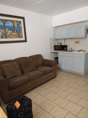 My "living room/ kitchen combo"