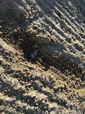 The Resort Course at La Cantera