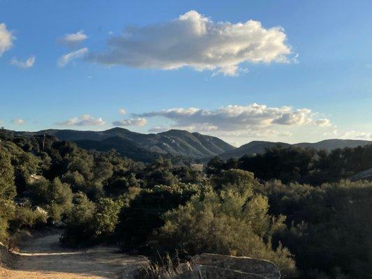 Dead Horse Falls Trail