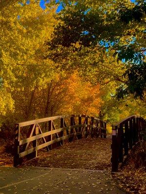 Courtney’s Photography