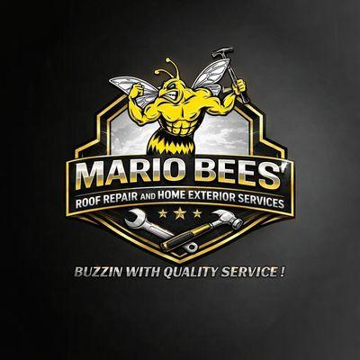 Mario Bees Gutter Cleaning and Roof Repair