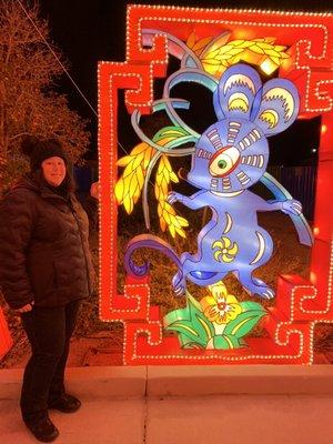 I'm the year of the Rat