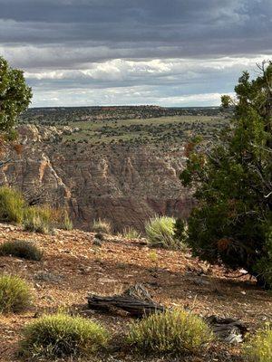 Epic Adventure Rides