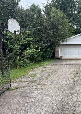 Above & Beyond Property Solutions