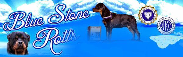Blue Stone Rotts