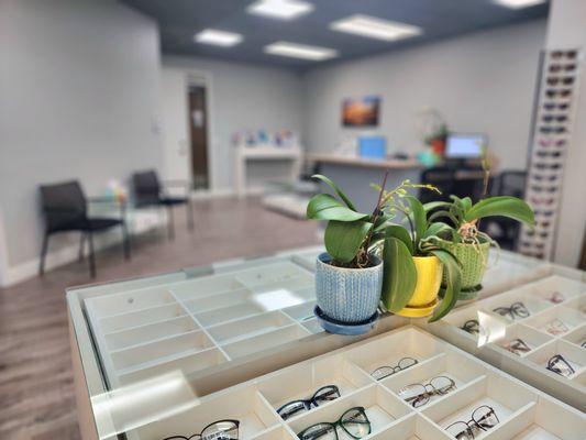 South Coast Optometric Group