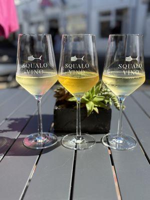 Squalo Vino