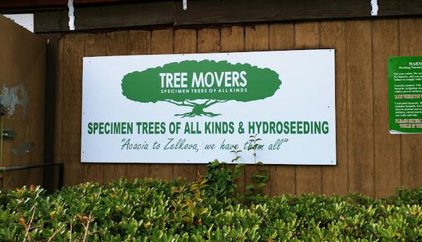 Tree Movers