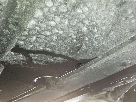 Look at this mess!!!!!!