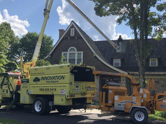 Innovation tree experts