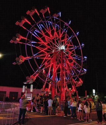 Downtown Palm Harbor