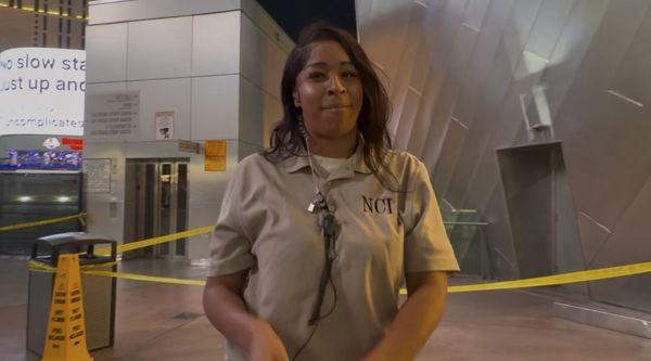 Norton Consulting Investigations