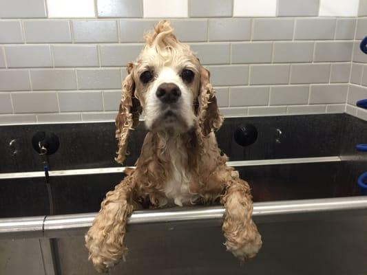 Fred wants out of the bath