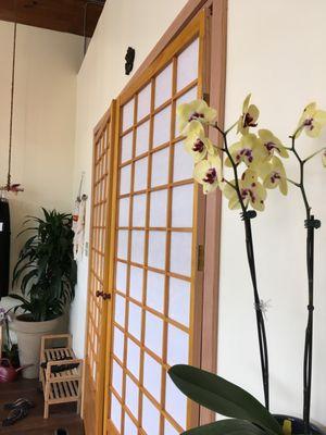 These sensual exotic shoji doors lead into our sacred practice room