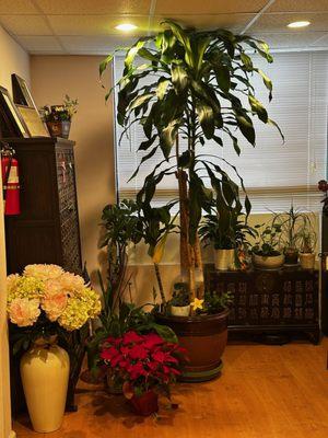 Insarang Acupuncture & Herbs Clinic