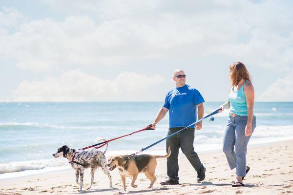 Stable Hands Pet Care and Services